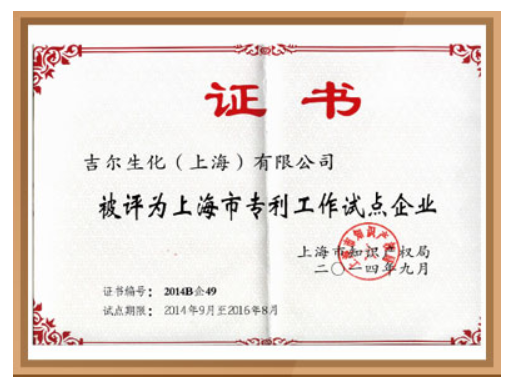Patent Pilot Enterprise